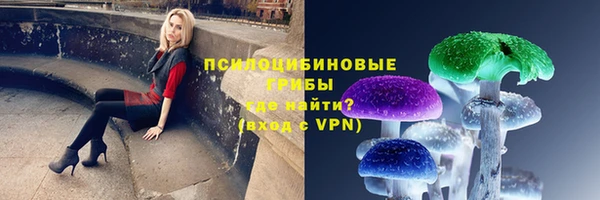 герыч Аркадак
