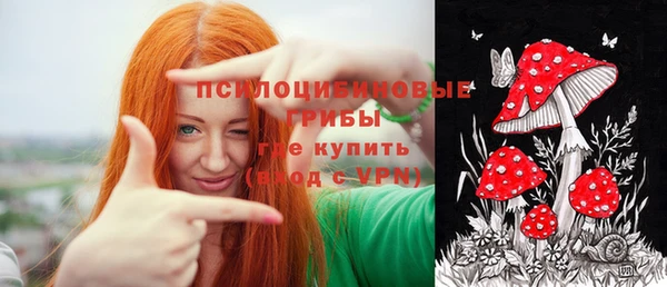 кокс Арсеньев