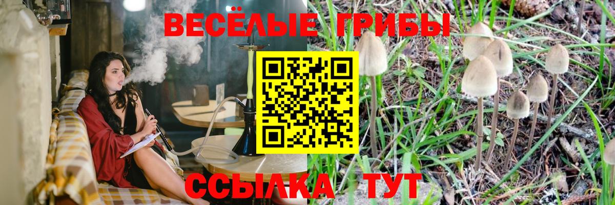 Псилоцибиновые грибы ЛСД  Избербаш 