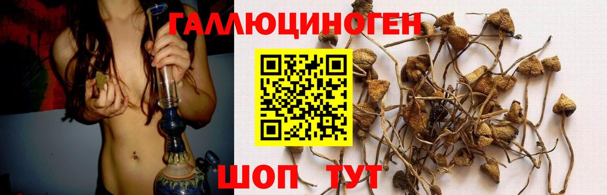 Избербаш  Псилоцибиновые грибы Magic Shrooms  Вход с VPN 